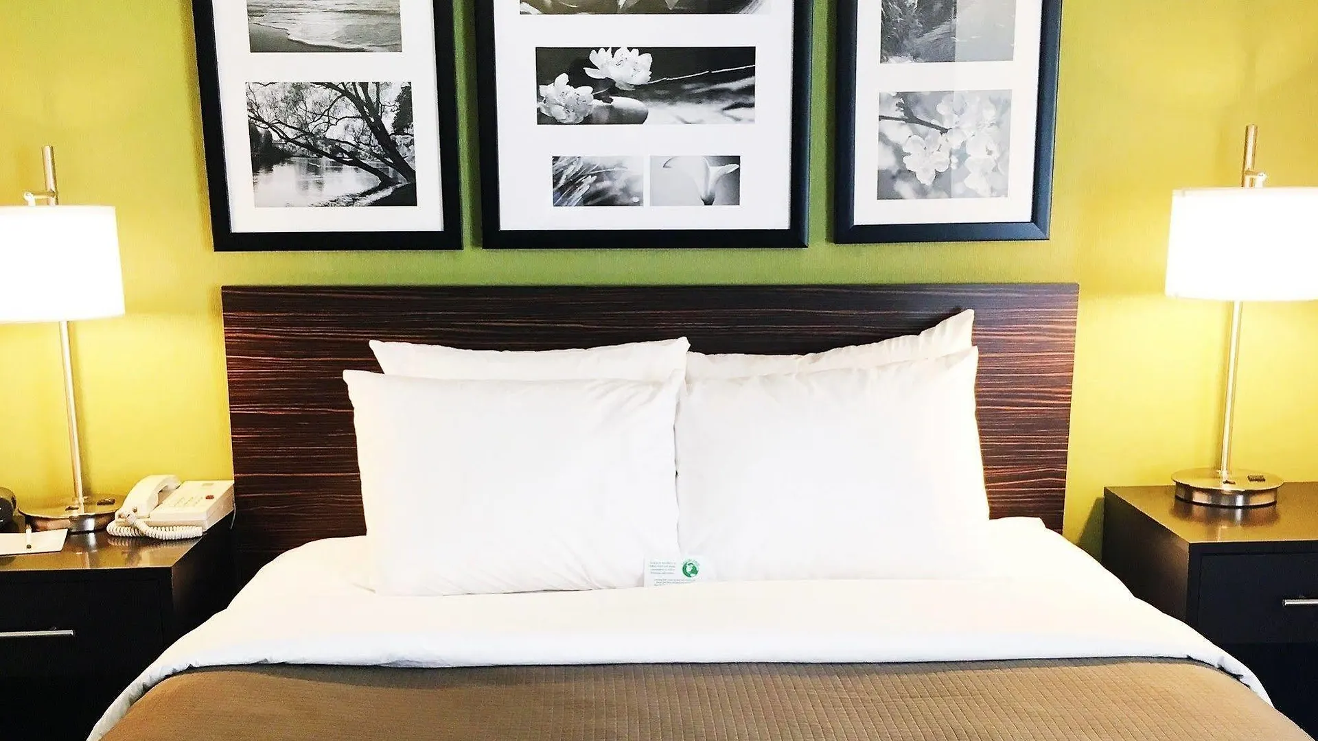 Sleep Inn Sea Tac Airport SeaTac
